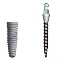 A mini implant next to a full sized implant